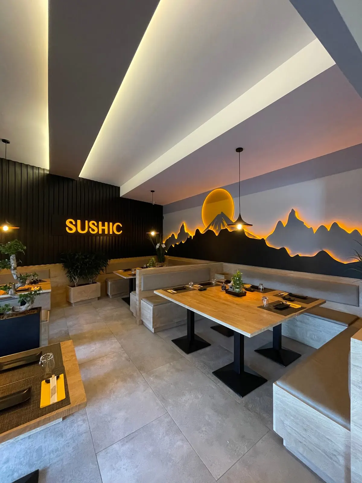 Sushic, Anderlecht